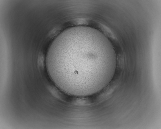 X0000111500550200907211033