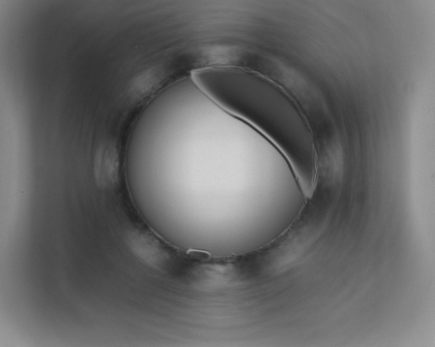 X0000111500552200907211033