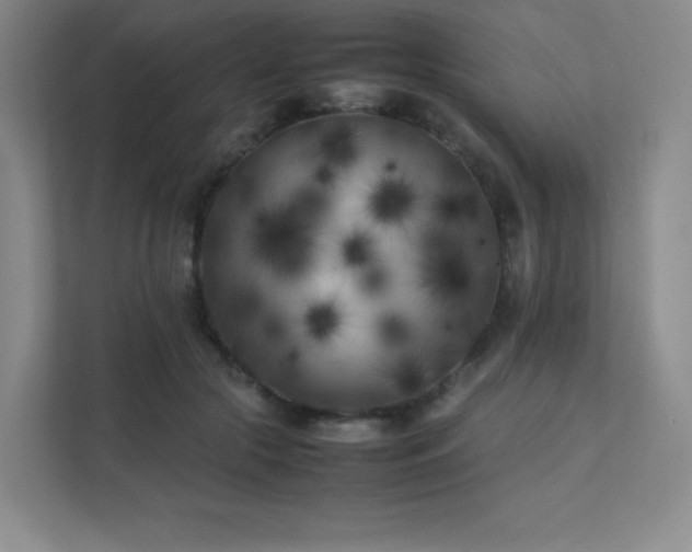 X0000111500553200907211033