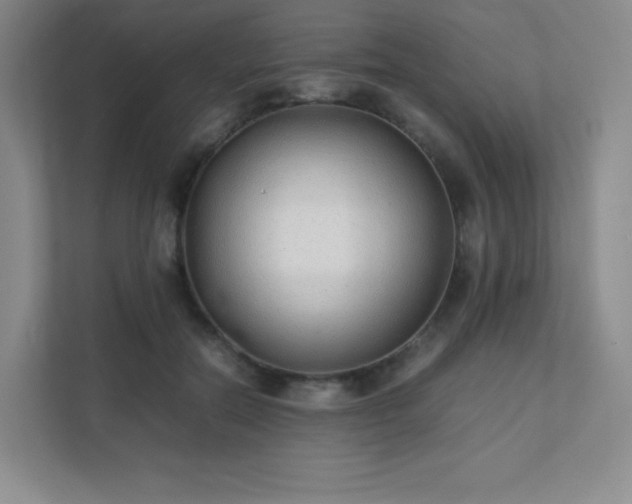 X0000111500554200907211033