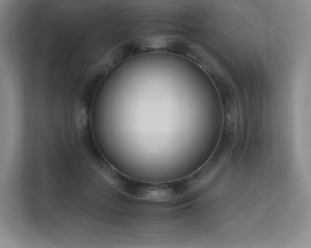 X0000111500555200907211033