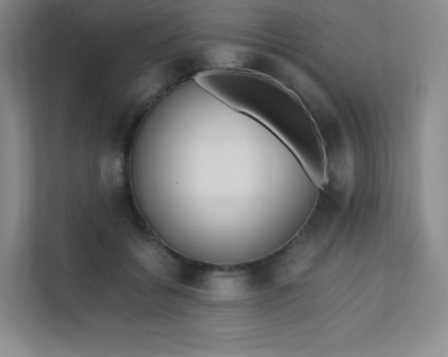 X0000111500556200907211033