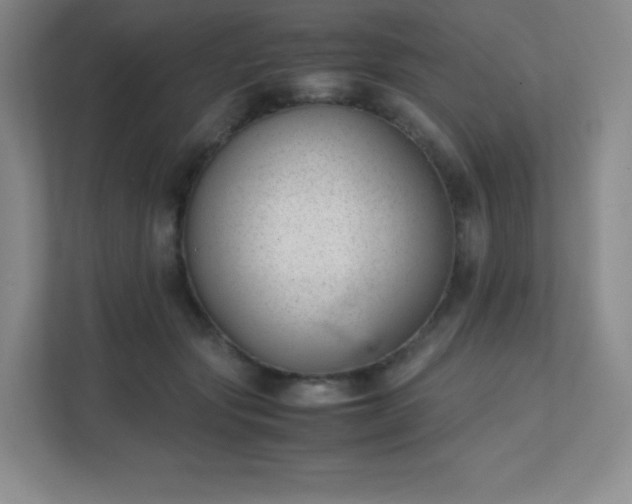 X0000111500557200907211033