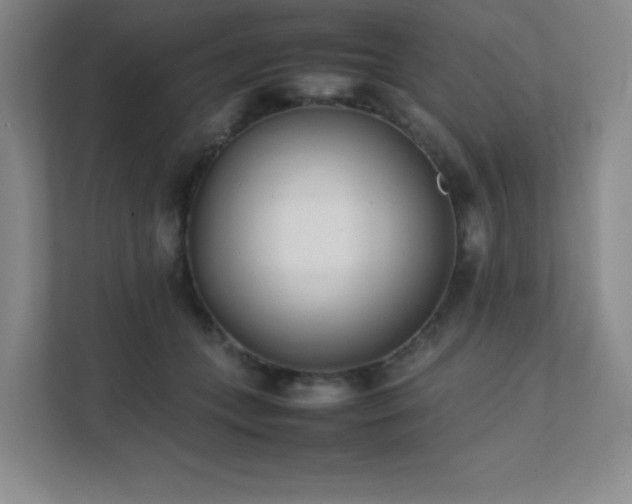 X0000111500559200907211033