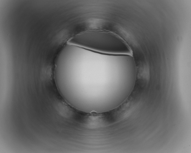 X0000111500560200907211033