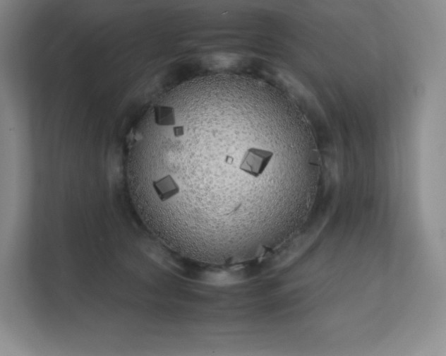 X0000111500561200907211033