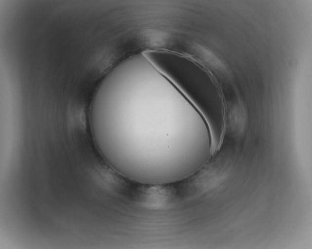 X0000111500562200907211033