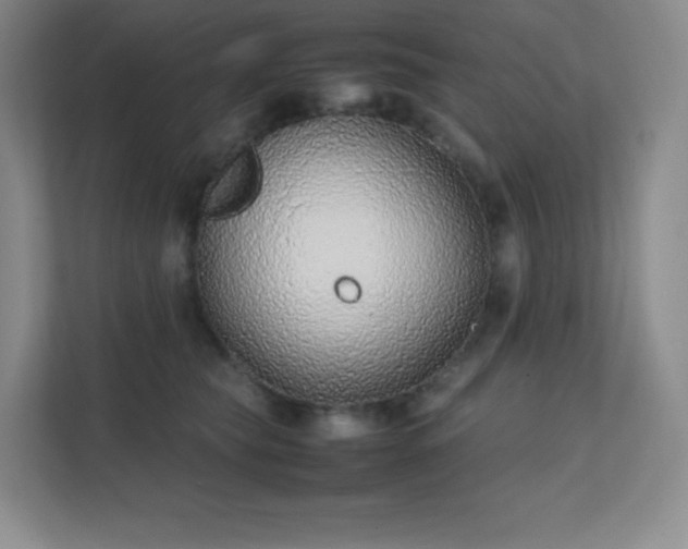 X0000111500565200907211033