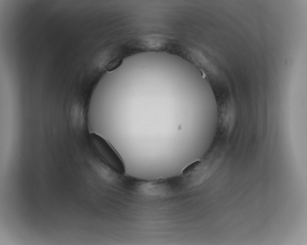 X0000111500568200907211033