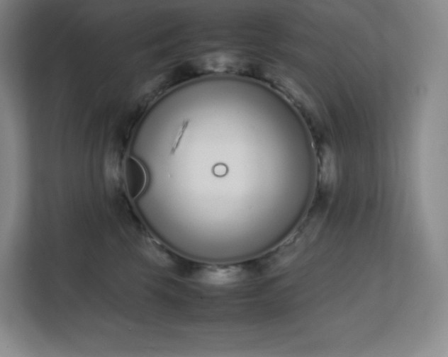 X0000111500569200907211033