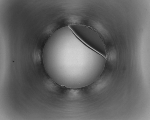 X0000111500570200907211033