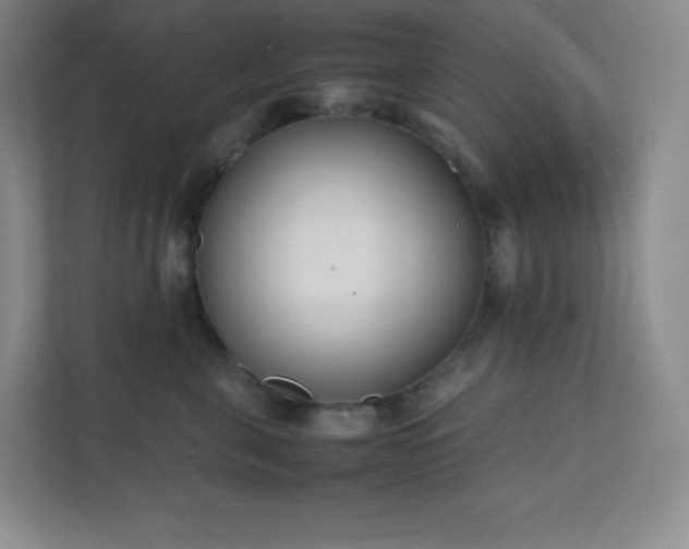 X0000111500571200907211033