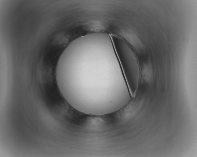 X0000111500572200907211033