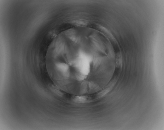 X0000111500573200907211033