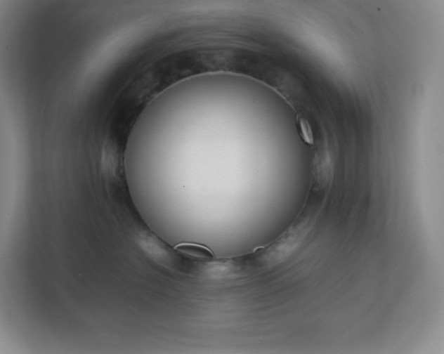 X0000111500574200907211033