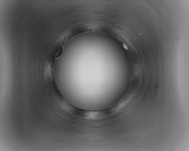 X0000111500575200907211033