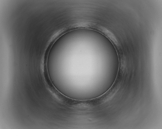 X0000111500578200907211032