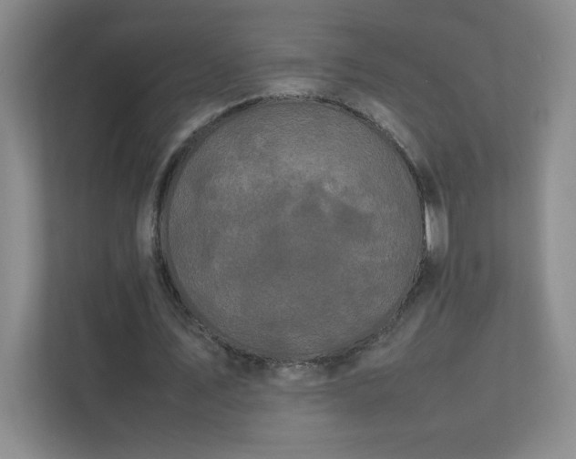 X0000111500579200907211032