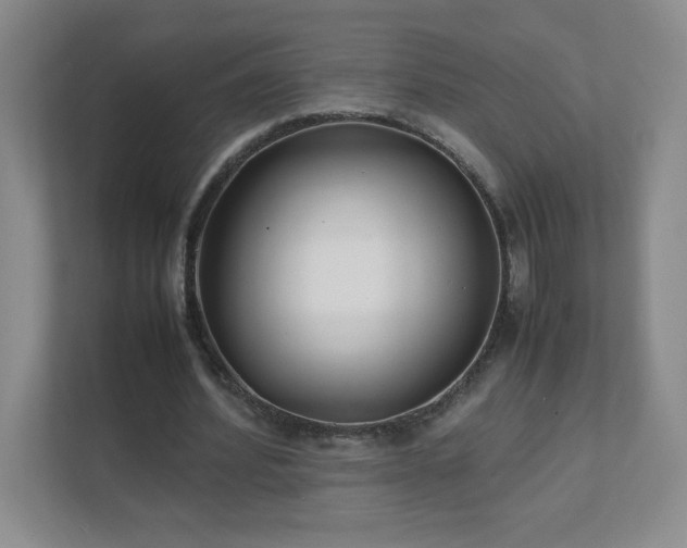 X0000111500580200907211032