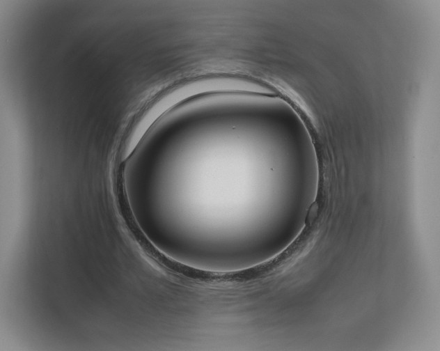 X0000111500581200907211032