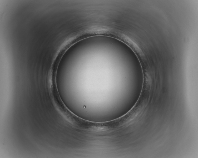 X0000111500582200907211032