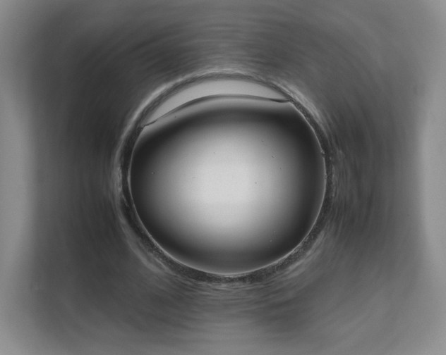 X0000111500584200907211032