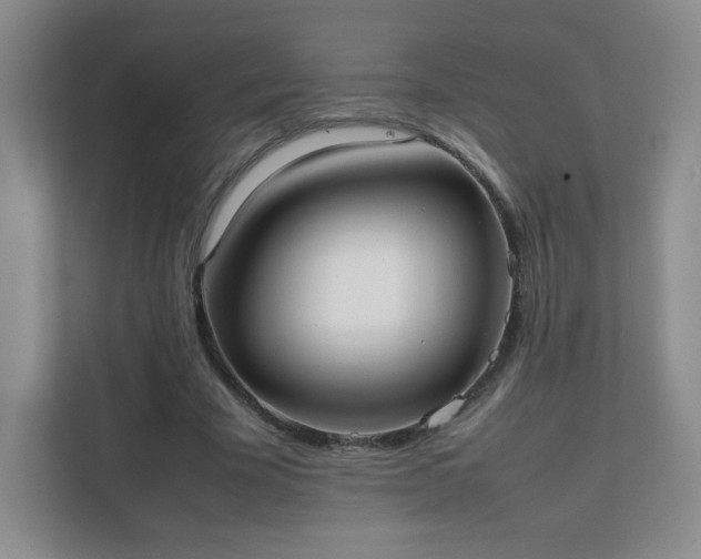 X0000111500585200907211032