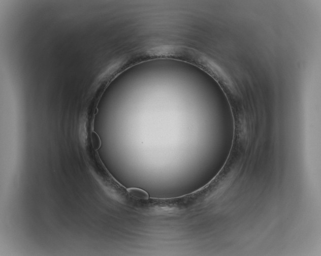 X0000111500586200907211032