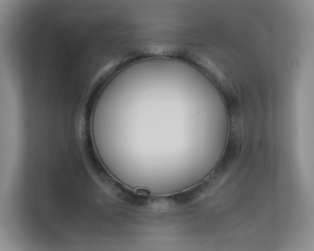 X0000111500587200907211032