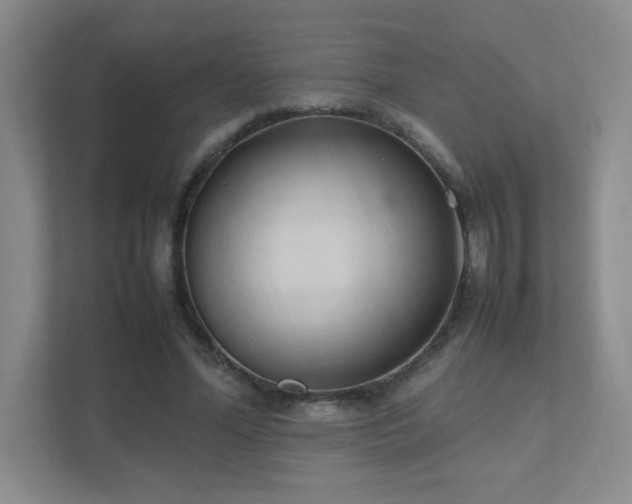 X0000111500588200907211032