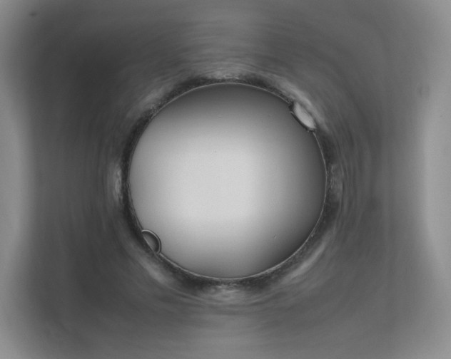 X0000111500589200907211032