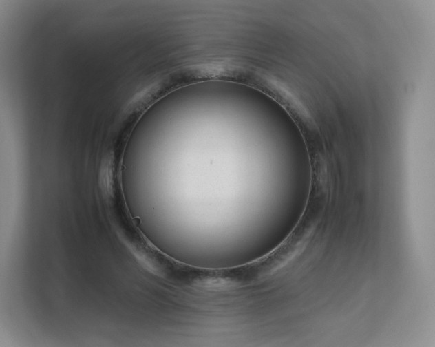 X0000111500590200907211032