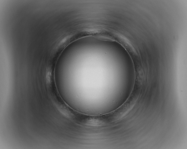 X0000111500596200907211032