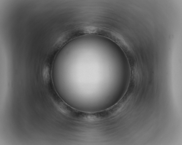 X0000111500598200907211032