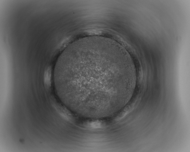 X0000111500600200907211032