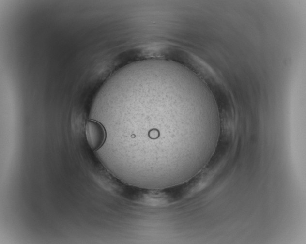 X0000111500603200907211032