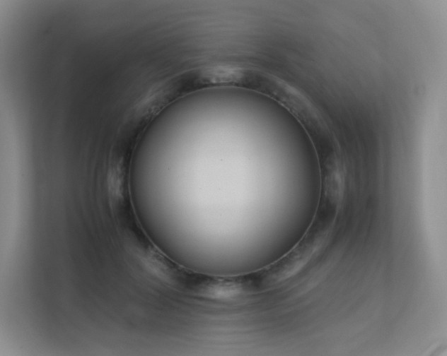 X0000111500604200907211032