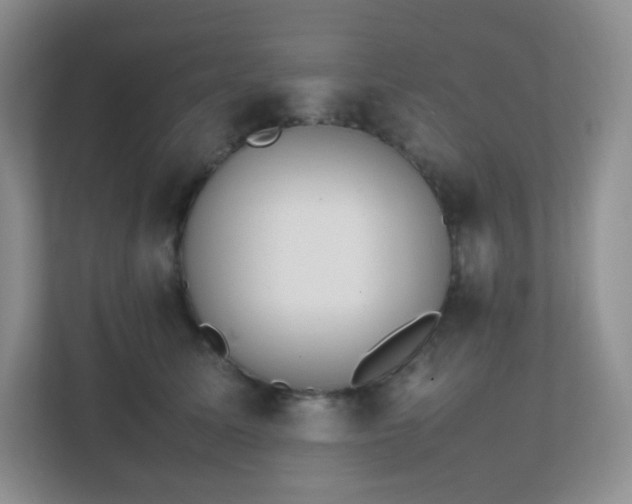 X0000111500611200907211032