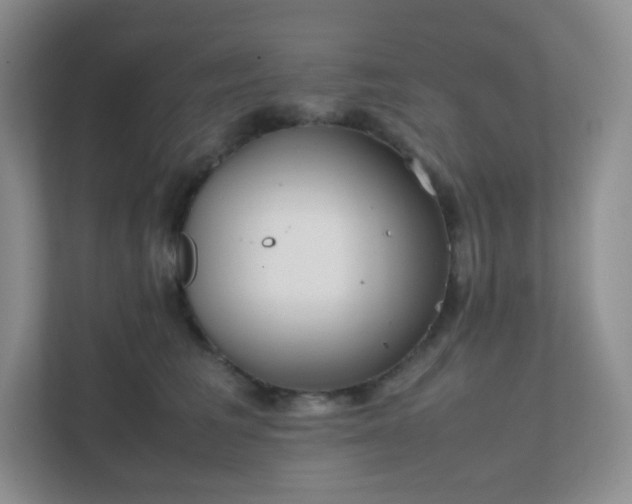 X0000111500613200907211032