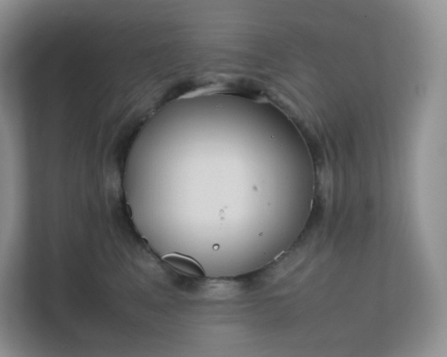 X0000111500617200907211032