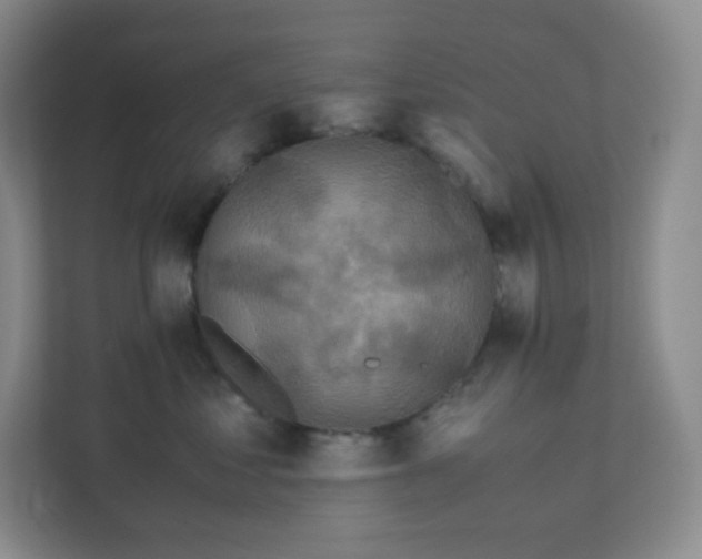 X0000111500621200907211032