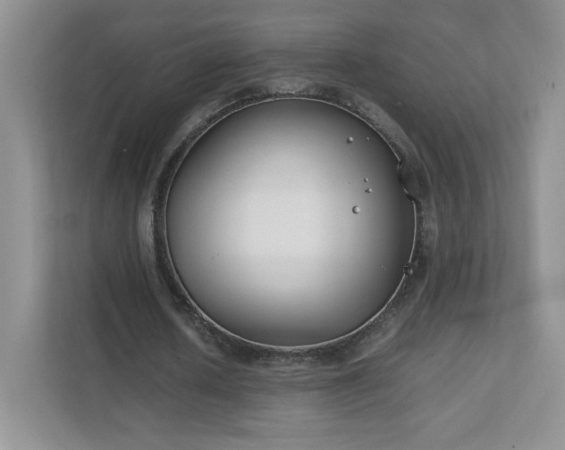 X0000111500626200907211031