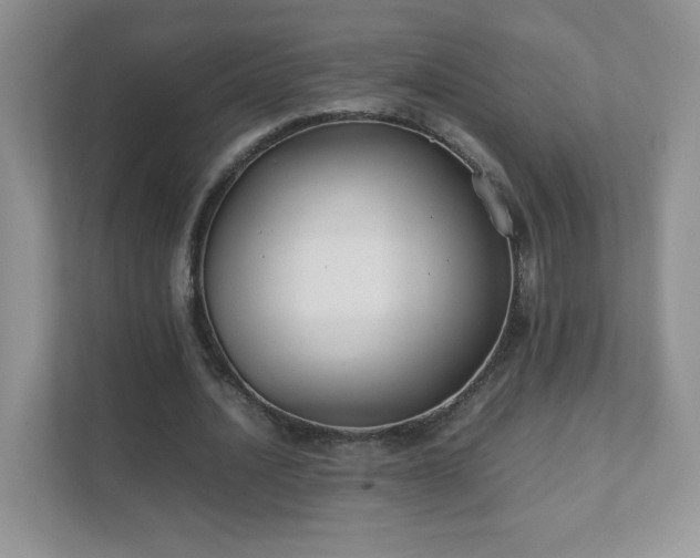 X0000111500628200907211031