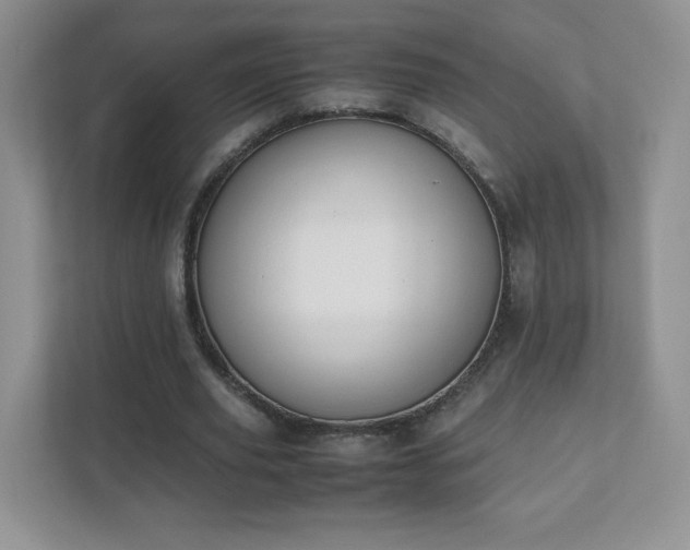 X0000111500629200907211031