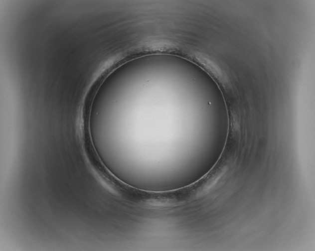 X0000111500630200907211031