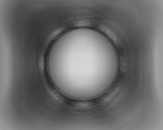 X0000111500631200907211031