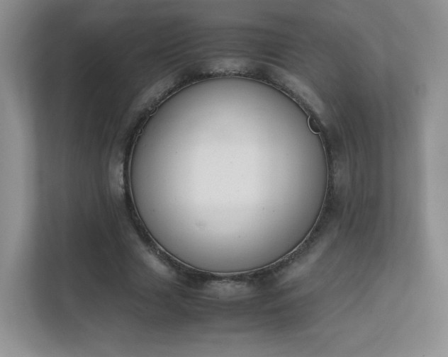 X0000111500633200907211031