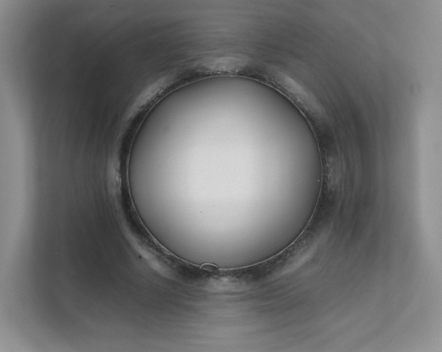 X0000111500634200907211031