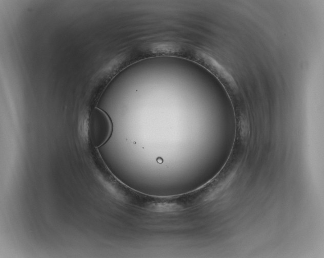 X0000111500637200907211031