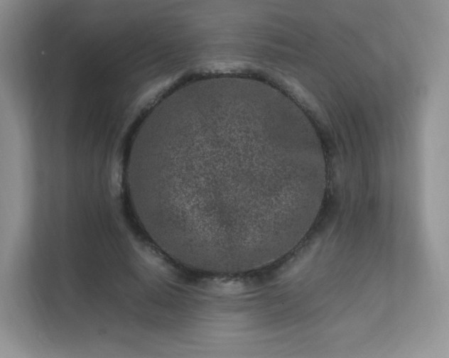 X0000111500640200907211031